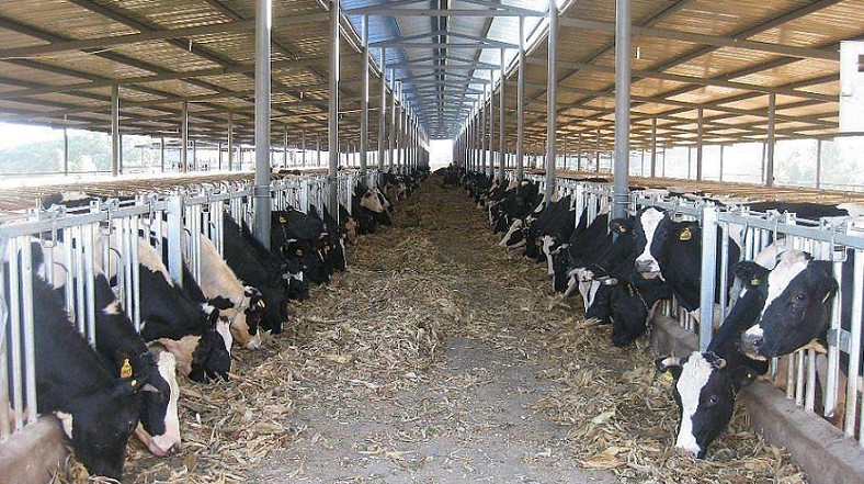 艾思捷定制款PGV035系列減速機--應用在畜牧業、飼料行業